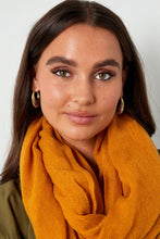 Load image into Gallery viewer, Goudkleurige Oorbellen Aesthetic Sierlijk, zijn statement gouden ovalen oorbellen in een sierlijk model. Afmeting oorbellen is 2.45cm x 3.50cm.