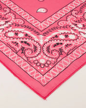 Load image into Gallery viewer, Fuchsia Sjaal