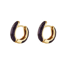 Afbeelding in Gallery-weergave laden, Oorbellen Round Goud met Zirkonia