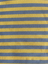 Load image into Gallery viewer, Mooij T-shirt Streep Blauw &amp; Geel
