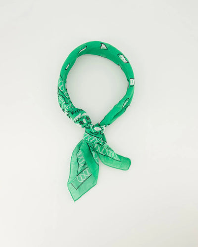 Veelzijdige Sjaal van Astrid Groot is een leuke sjaal met print. Een leuke accessoire om op verschillende manieren te dragen, om je nek, in het haar of aan een tas. Deze sjaal is in verschillende kleuren verkrijgbaar: Kelly Green, Geel, Jeansblauw, Fuchsia.