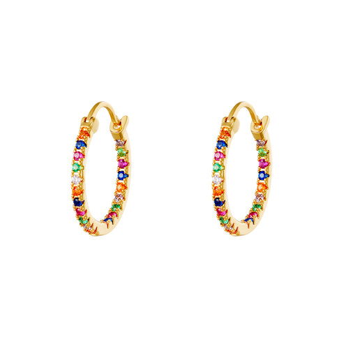 Oorbellen Hoops Multicolor Goud