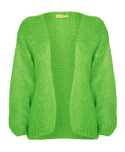 Groen grof gebreid vest van Beauregard, Beau19067 in de kleur groen (PJ500). Vest is in de maat one size en is verkrijgbaar in verschillende kleuren: Marineblauw, Paars, Violet, Wit, Blauw, Geel, Groen.